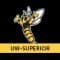 University of Wisconsin-Superior