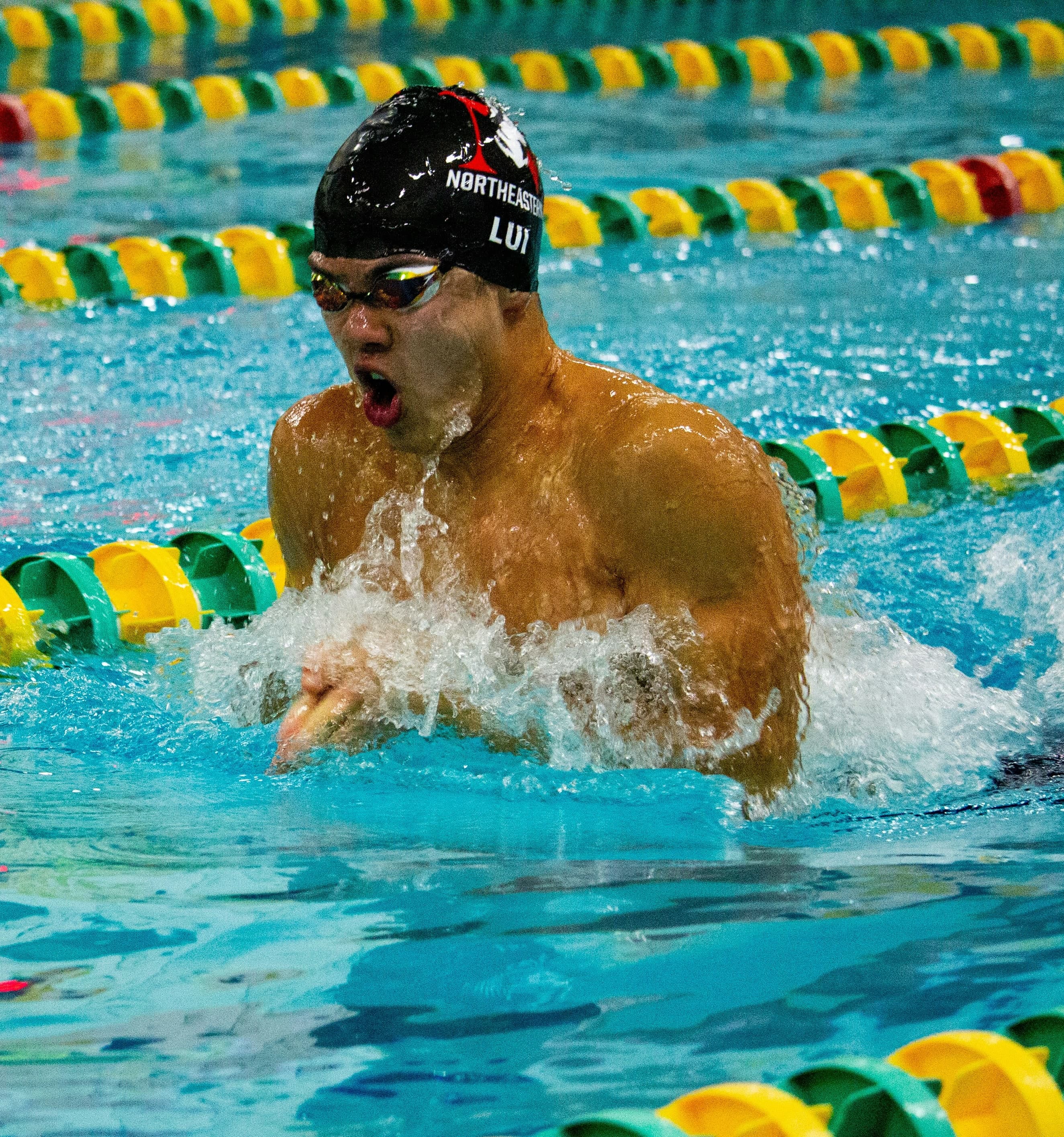 College-Schwimmer der Northeastern University – Brustschwimmrennen Männlicher College-Schwimmer der Northeastern University beim Brustschwimmen im Rennen.